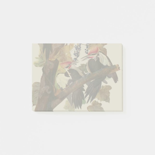 Ohn James Audubon Höghackad Hackspett Fågeltryck Post-it Block (Framsida)