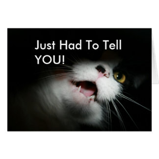 Ohyfsad kattanpassningsbar och ord hälsningskort