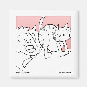 Ohyfsat uppvaknande för katt magnet