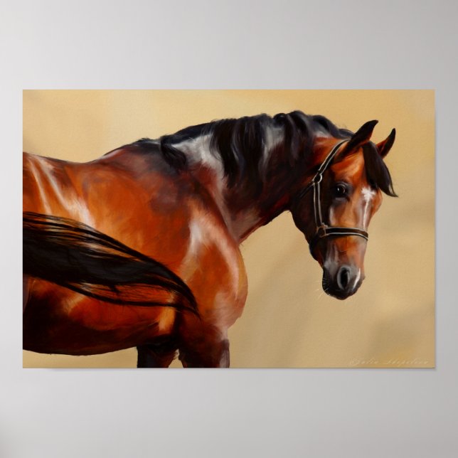 Oil Horse Poster (Framsidan)