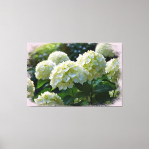 *~* Oil Hydrangea TV2 Art Stretched Kanvastryck