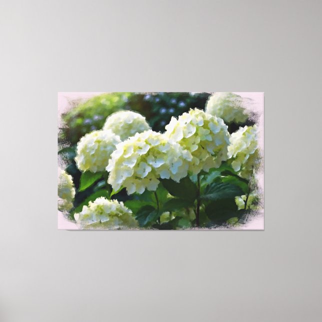 *~* Oil Hydrangea TV2 Art Stretched Kanvastryck (Framsida)