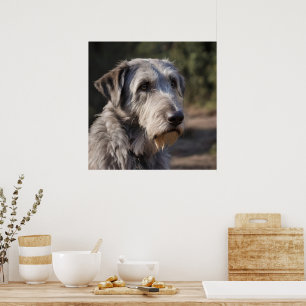 "Oimponerad Majestät: Wolfhounds' Stoic Gaze" Poster