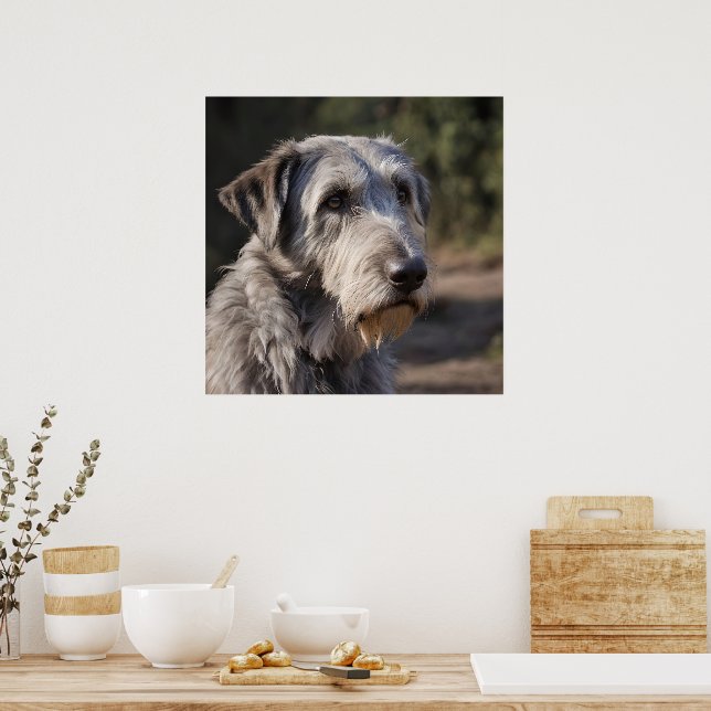 "Oimponerad Majestät: Wolfhounds' Stoic Gaze" Poster (Kök)