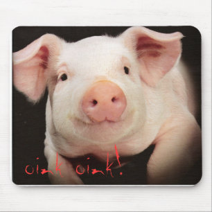 oink oink! musmatta