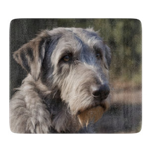 "Ointrycklig Majestät: Wolfhounds stoiskt blick"