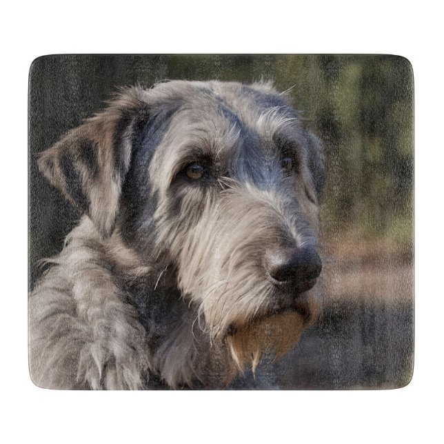 "Ointrycklig Majestät: Wolfhounds stoiskt blick" (Framsidan)