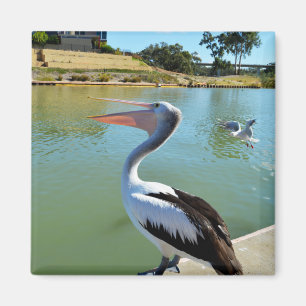 Oj A Lycklig Pelican Tra Lah, Fridge Magnet
