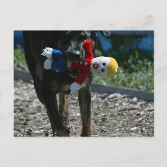 Oj-nej herr Bill vykort (Framsida)