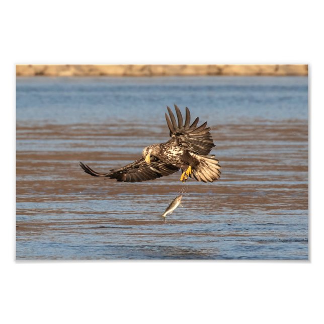 Oj, släpp den. fototryck (Framsidan)