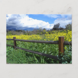 Ojai Meadows Vykort