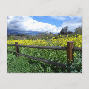 Ojai Meadows Vykort