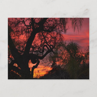 Ojai Sunset Vykort