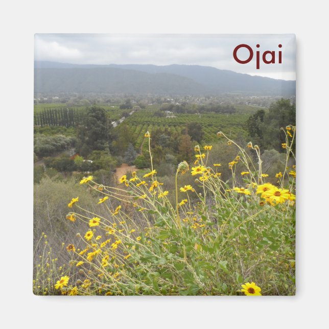 Ojai Valley, Kalifornien Magnet (Framsidan)