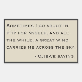 Ojibwe Say Rektangulärt Klistermärke