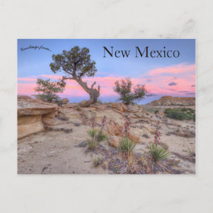 Ojito Wilderness New mexico Vykort