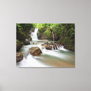 Ojochals vattenfall i Costa Rica Canvastryck