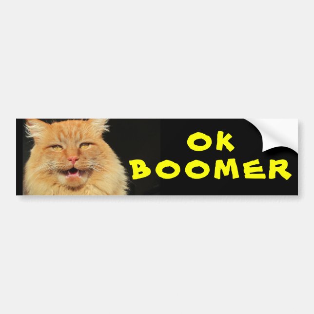 OK BOOMER Funny Cat Memine Bildekal (Framsidan)