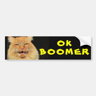 OK BOOMER Lustigt Kattnummer Bildekal