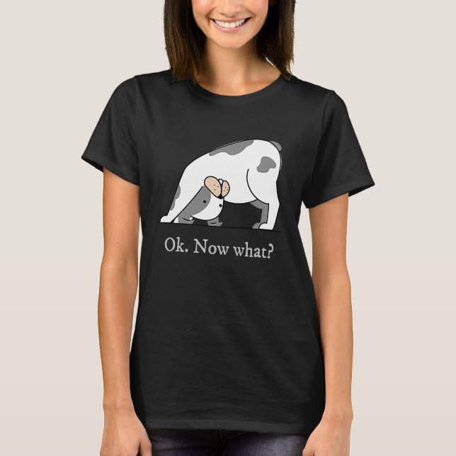 Ok Now What Yoga Downward Dog Workout T Shirt (Framsida)