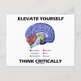 Öka din egen Tänka med kritiskt brainy Advice Vykort