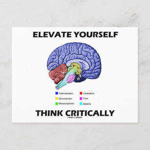 Öka din egen Tänka med kritiskt brainy Advice Vykort