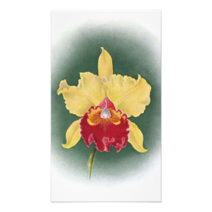 Öka ditt utrymme: Golden Queen Orchid Clipart Fototryck