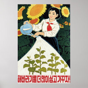 Öka fler solrosor! Nordkoreas jordbruk Poster