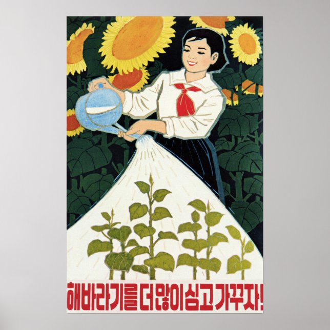 Öka fler solrosor! Nordkoreas jordbruk Poster (Framsidan)