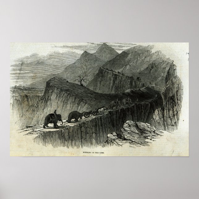 Öka vapnen poster (Framsidan)