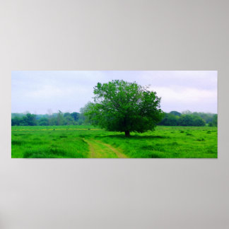 Oka’ Yanahli (Färg mättad) Poster