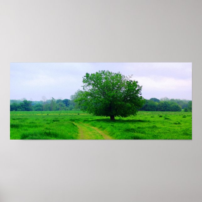 Oka’ Yanahli (Färg mättad) Poster (Framsidan)