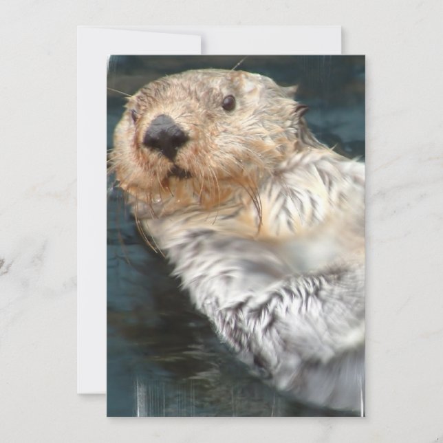 Ökad inbjudan till sjöss (Framsida)