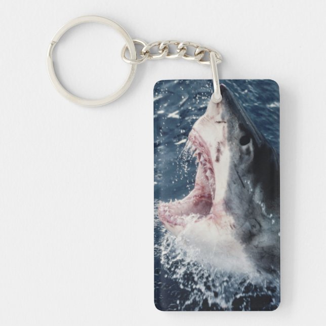 Ökad Shark-mun öppen (Framsidan)