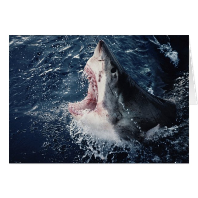 Ökad Shark-mun öppen Hälsningskort (Framsidan Horizontal)