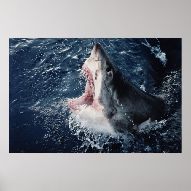 Ökad Shark-mun öppen Poster (Framsidan)