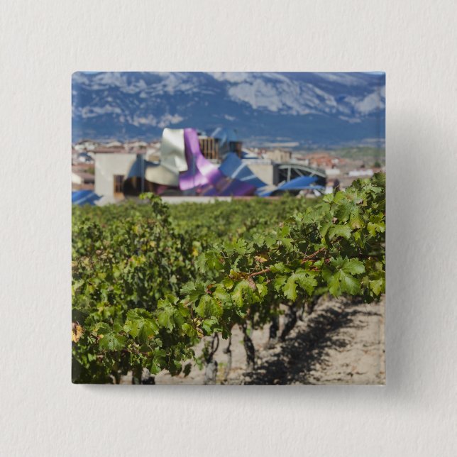 Ökad stadsvy och Hotel Marques de Riscal Knapp (Framsida)