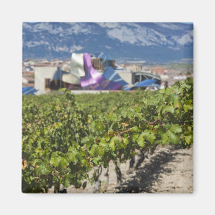 Ökad stadsvy och Hotel Marques de Riscal Magnet