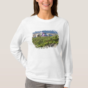 Ökad stadsvy och Hotel Marques de Riscal Tee