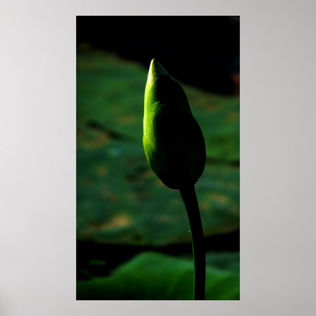 Ökad storhet poster (Framsidan)