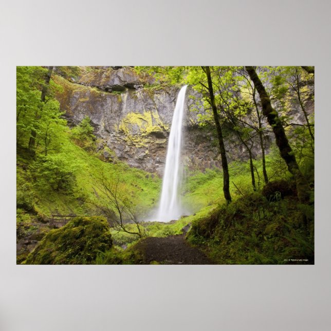 Okänt vattenfall runt lush Greenery i Oregon Poster (Framsidan)