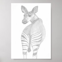 Okapi, afrikanskt vilda djur