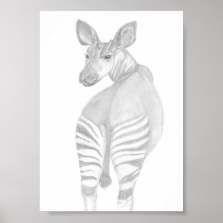 Okapi, afrikanskt vilda djur poster