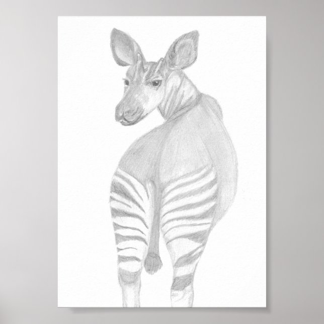 Okapi, afrikanskt vilda djur poster (Framsidan)