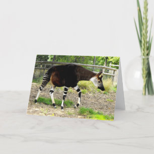 Okapi Helgkort