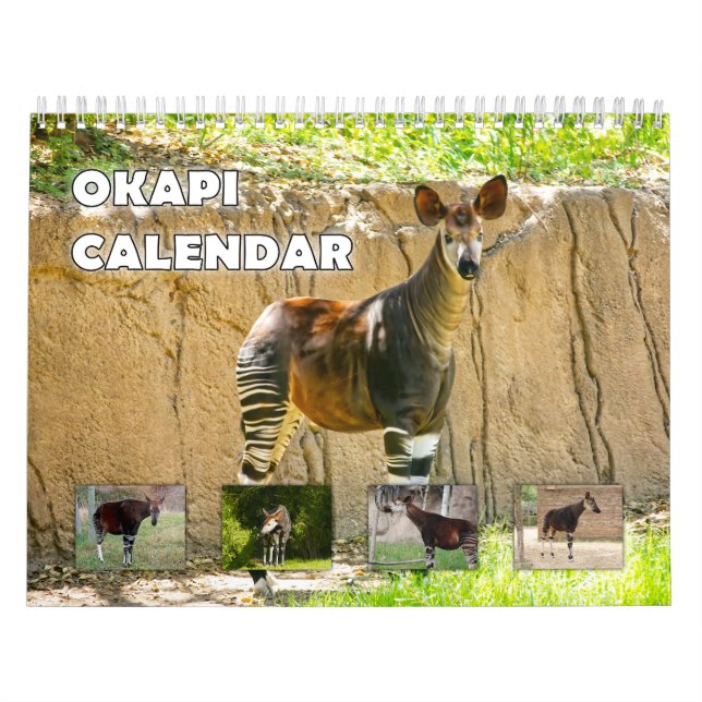 Okapi Kalender (Omslag)