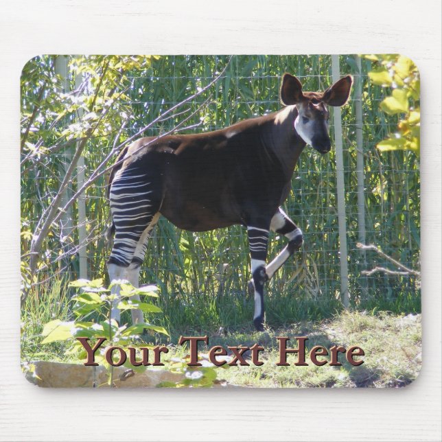 Okapi Mousepad Musmatta (Framsidan)