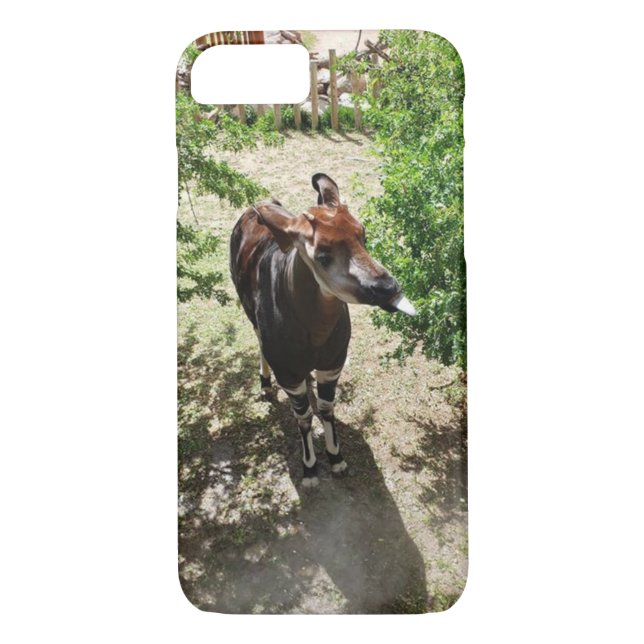 Okapi Phone Case (tillgängliga alternativ) Case-Mate iPhone Skal (Baksida)