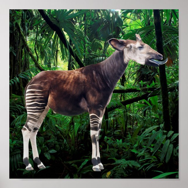 Okapi Poster (Framsidan)