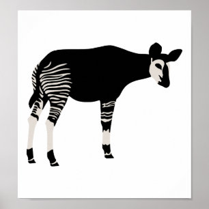Okapi Poster